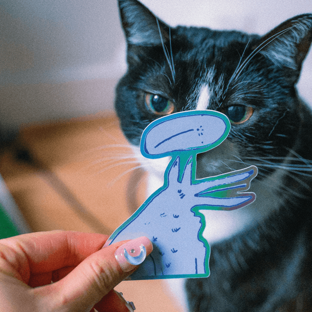⭐ Stickers holographiques "Dogo, fais un voeux"  ⭐